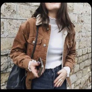 Brand new corduroy/Sherpa jacket